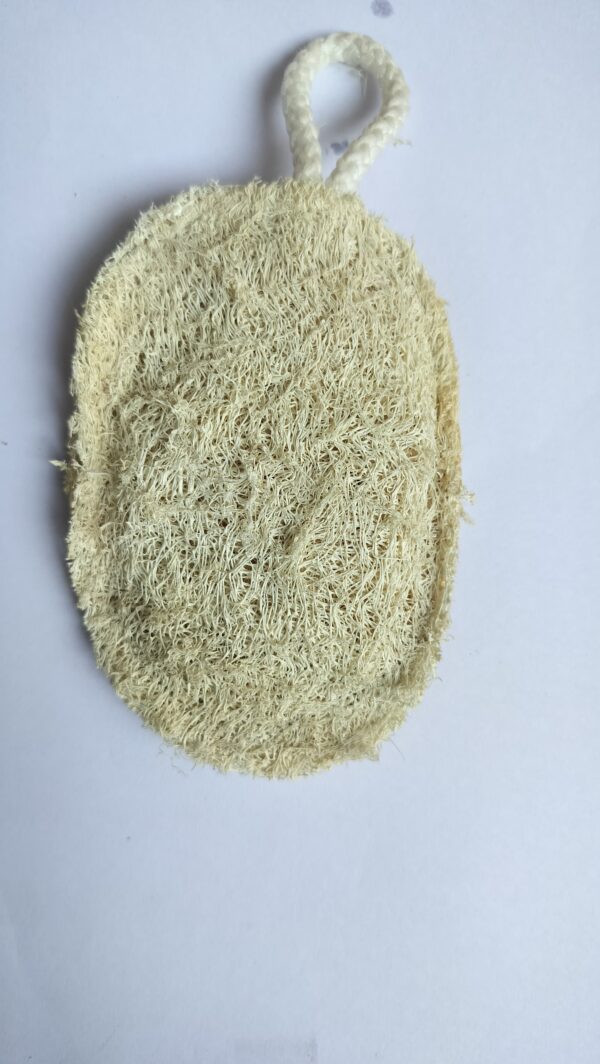 Natural Loofah oval - Image 4