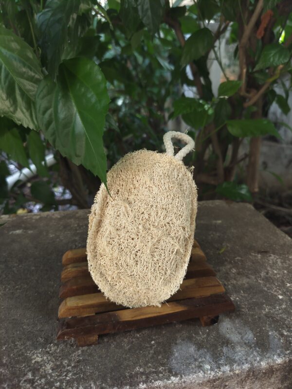 Natural Loofah oval - Image 5