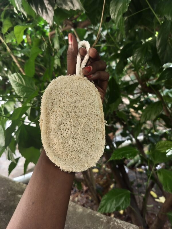 Natural Loofah oval - Image 3